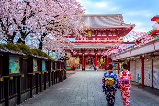 Japón al Completo 1